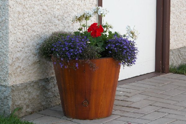 Cedar Flower Pot